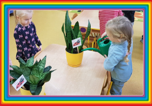 Dzieci pielęgnują rośliny.